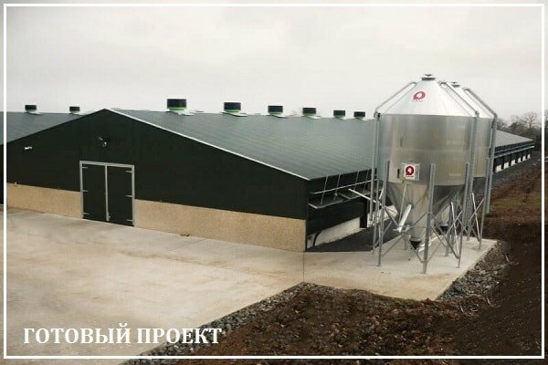 Этапы возведения птицефабрики от завода ВелесТент-бск